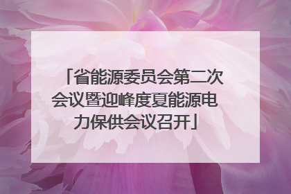 省能源委员会第二次会议暨迎峰度夏能源电力保供会议召开